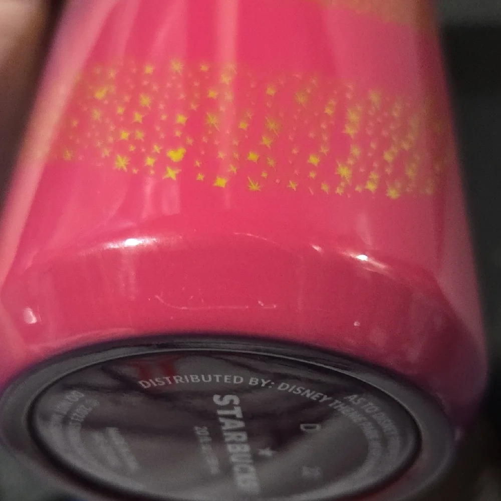 Disney Starbucks Metal Bottle